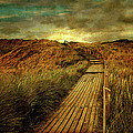 the way